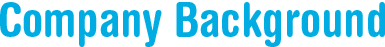 InfoLink Web Site Development Company Background
